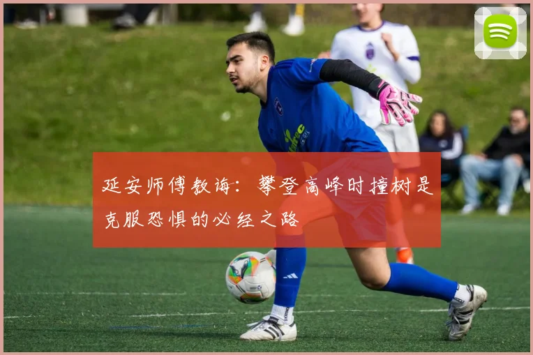 延安师傅教诲：攀登高峰时撞树是克服恐惧的必经之路