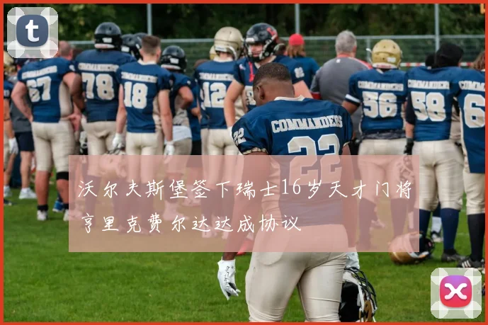 沃尔夫斯堡签下瑞士16岁天才门将亨里克费尔达达成协议