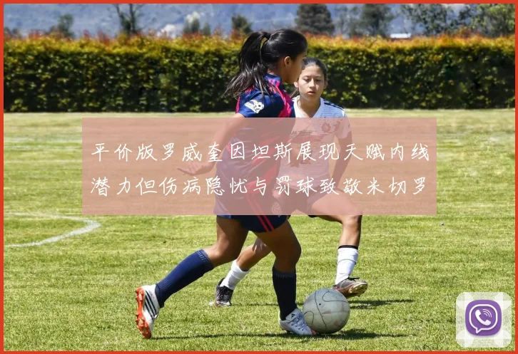 平价版罗威奎因坦斯展现天赋内线潜力但伤病隐忧与罚球致敬米切罗