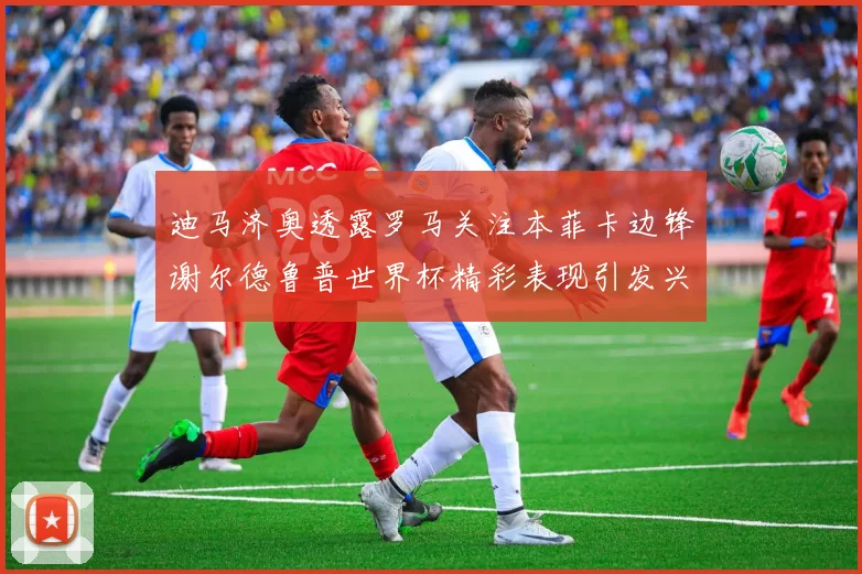迪马济奥透露罗马关注本菲卡边锋谢尔德鲁普世界杯精彩表现引发兴趣